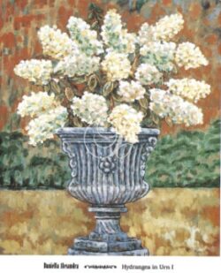 Hydrangea In Urn I