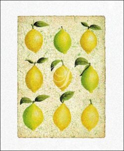 Lemon Collage