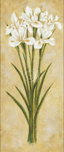 Lilies