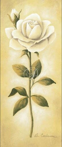White Roses I