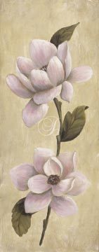 Magnolia Vine II