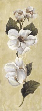 Magnolia Vine III