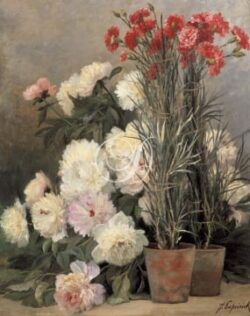 Peonies and Carnations