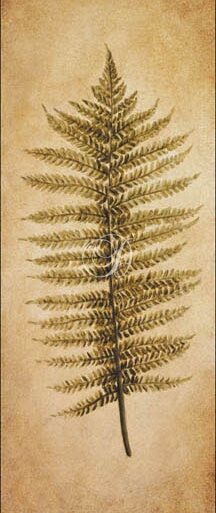 Ferns & Palms III