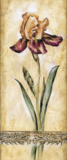 Elegant Iris I