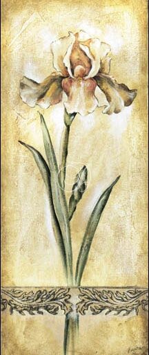 Elegant Iris II