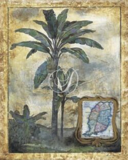 Tropical Antiquity I