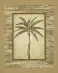 Date Palm