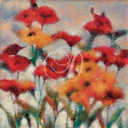 Spring Poppies II