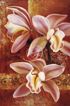 Orchid II