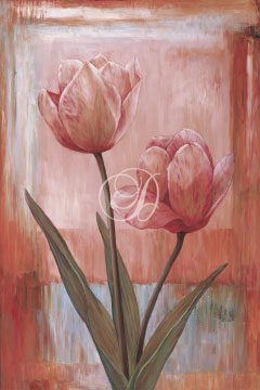 Rose Tulips II