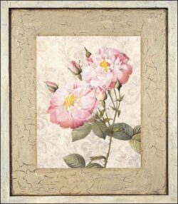 Victorian Roses III