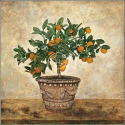 Orange In Classical Pot