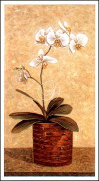 Orchid In Wicker Basket I