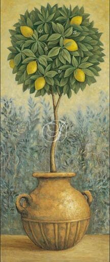 Lemon Topiary