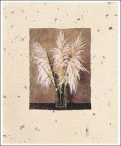 Pampas Grass