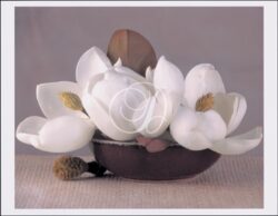 Magnolias in Raku Bowl II