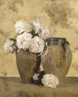 Vases With White Peonies I