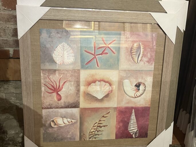 Seashell Collage