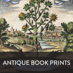 Antique Book Prints